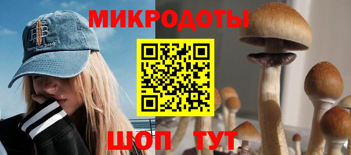 Псилоцибиновые грибы Psilocybine cubensis Баксан